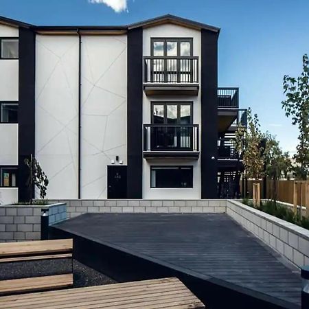 Cozy 1Br Apartment With Hagley Park View Christchurch Kültér fotó