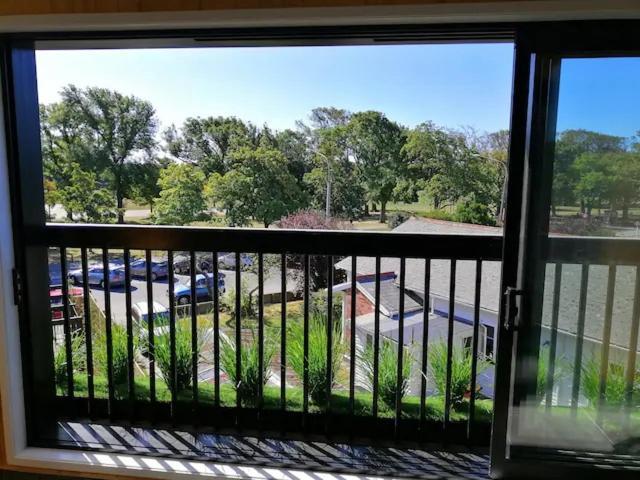 Cozy 1Br Apartment With Hagley Park View Christchurch Kültér fotó
